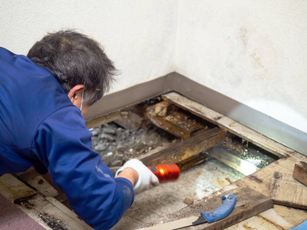 Best HVAC Mold Remediation in Lifornia Polytechnic State University, CA
