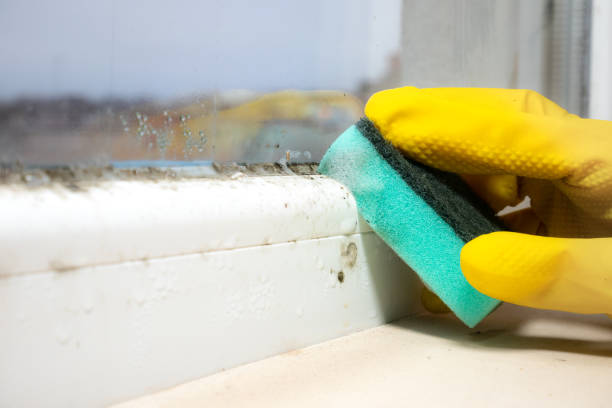 California Polytechnic State University, CA Mold Remediation Company